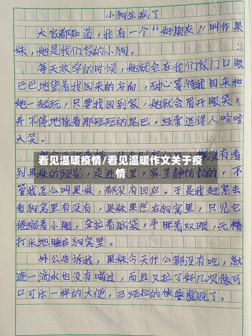 看见温暖疫情/看见温暖作文关于疫情-第2张图片