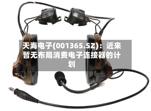 天海电子(001365.SZ)：近来暂无布局消费电子连接器的计划