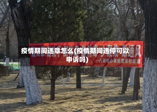 疫情期间违章怎么(疫情期间违停可以申诉吗)-第2张图片