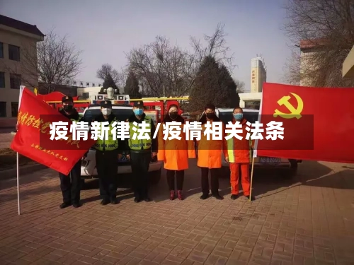 疫情新律法/疫情相关法条