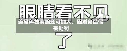 美晨科技索赔还可加入，因财务造假被处罚-第3张图片
