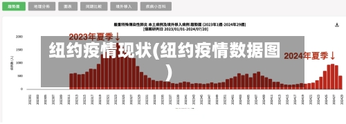 纽约疫情现状(纽约疫情数据图)