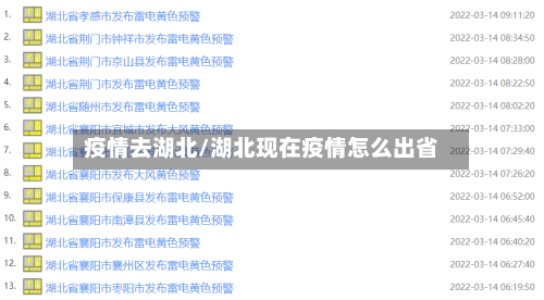 疫情去湖北/湖北现在疫情怎么出省-第2张图片