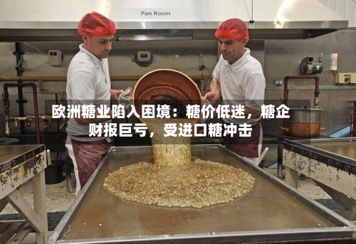 欧洲糖业陷入困境：糖价低迷，糖企财报巨亏	，受进口糖冲击-第2张图片