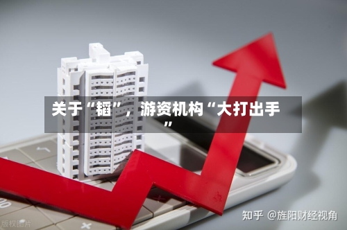 关于“韬”，游资机构“大打出手”-第2张图片