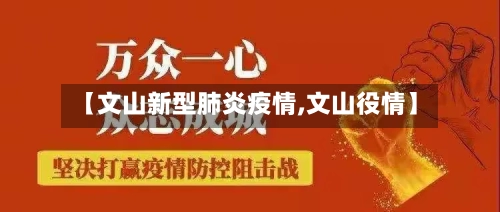 【文山新型肺炎疫情,文山役情】