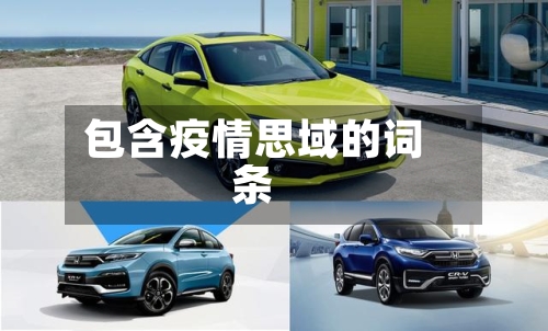 包含疫情思域的词条-第3张图片