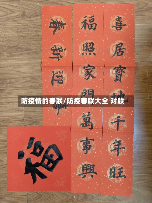 防疫情的春联/防疫春联大全 对联-第3张图片