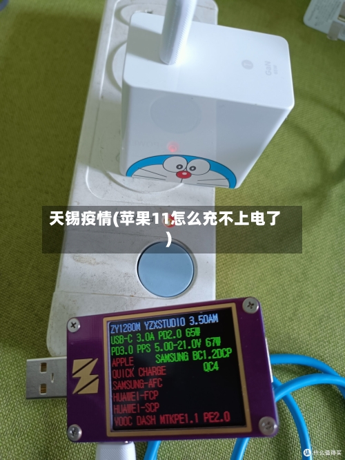 天锡疫情(苹果11怎么充不上电了)-第2张图片