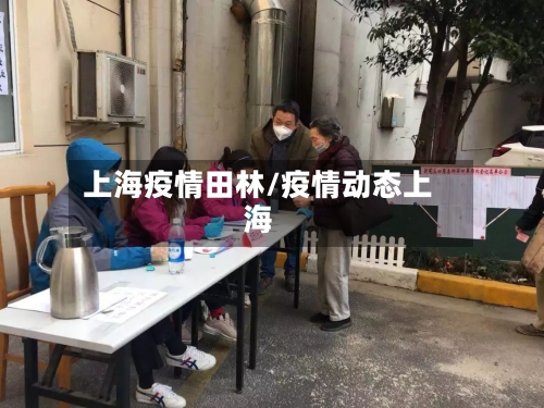 上海疫情田林/疫情动态上海