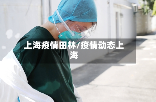 上海疫情田林/疫情动态上海-第2张图片