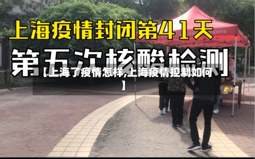 【上海了疫情怎样,上海疫情控制如何】-第2张图片