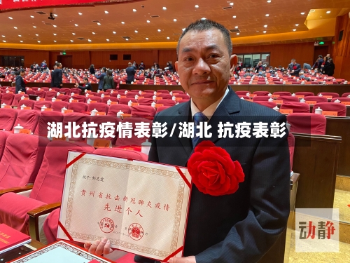 湖北抗疫情表彰/湖北 抗疫表彰