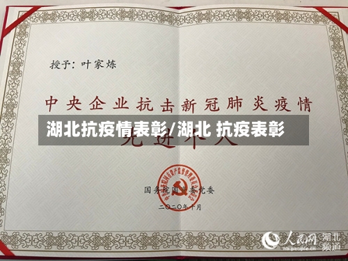 湖北抗疫情表彰/湖北 抗疫表彰-第2张图片