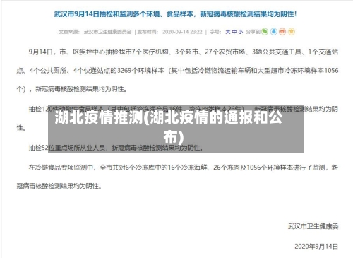 湖北疫情推测(湖北疫情的通报和公布)-第3张图片