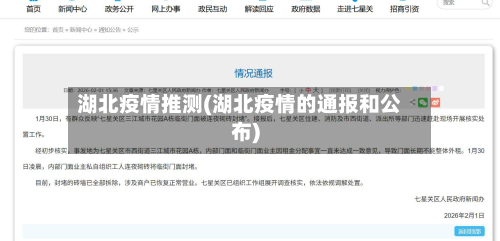 湖北疫情推测(湖北疫情的通报和公布)