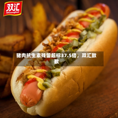 猪肉抗生素残留超标37.5倍，双汇致歉-第3张图片