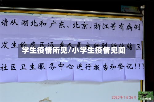学生疫情所见/小学生疫情见闻-第2张图片