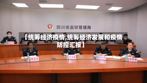【统筹经济疫情,统筹经济发展和疫情防控汇报】