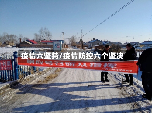 疫情六坚持/疫情防控六个坚决-第3张图片