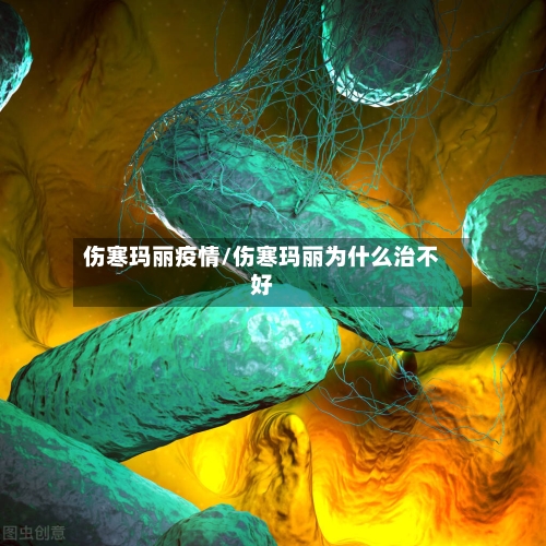 伤寒玛丽疫情/伤寒玛丽为什么治不好