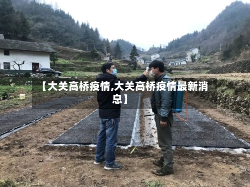 【大关高桥疫情,大关高桥疫情最新消息】