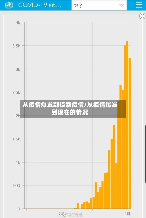 从疫情爆发到控制疫情/从疫情爆发到现在的情况