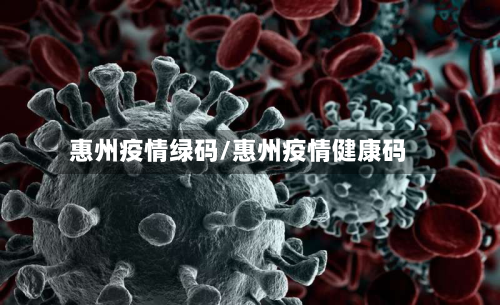 惠州疫情绿码/惠州疫情健康码
