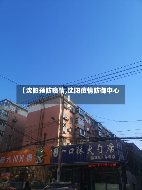 【沈阳预防疫情,沈阳疫情防御中心】-第2张图片