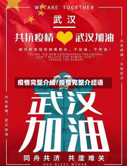 疫情完整介绍/疫情完整介绍语
