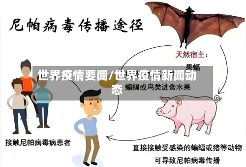 世界疫情要闻/世界疫情新闻动态-第3张图片