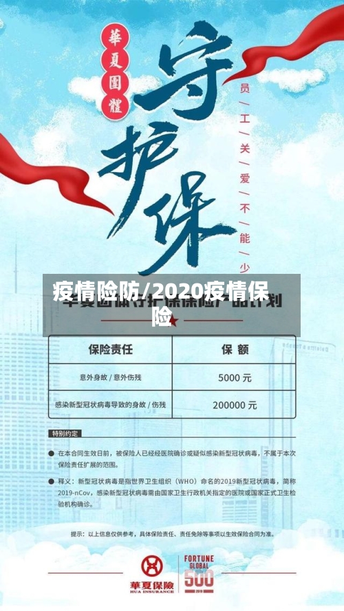 疫情险防/2020疫情保险-第2张图片