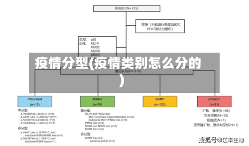 疫情分型(疫情类别怎么分的)
