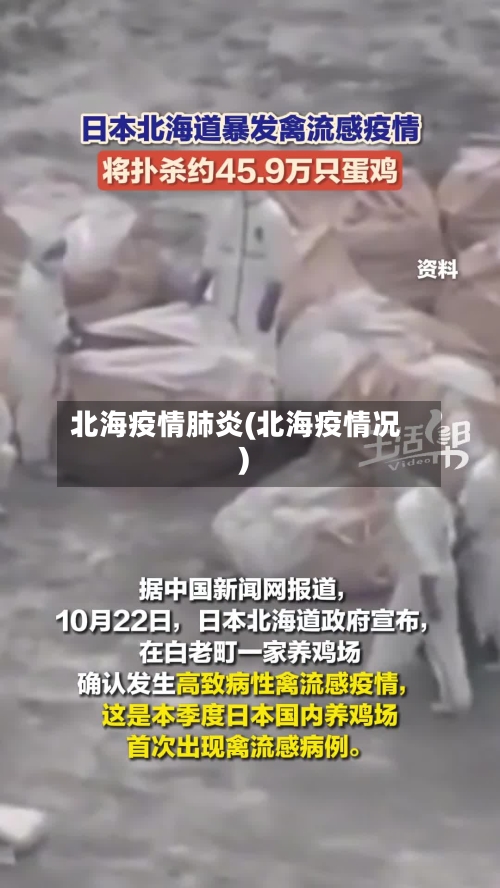 北海疫情肺炎(北海疫情况)-第2张图片