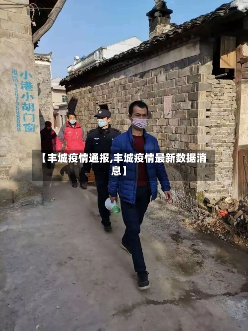 【丰城疫情通报,丰城疫情最新数据消息】