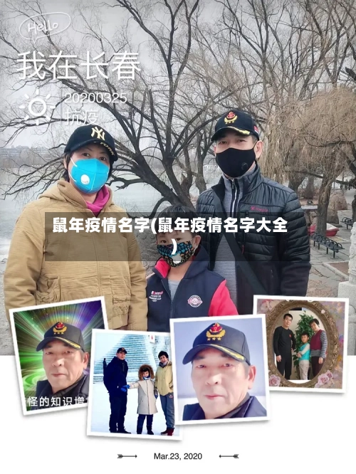 鼠年疫情名字(鼠年疫情名字大全)