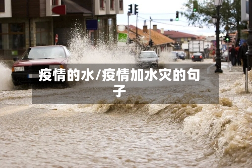 疫情的水/疫情加水灾的句子