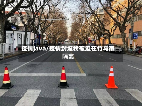 疫情java/疫情封城我被迫在竹马家隔离-第3张图片