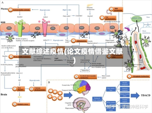 文献综述疫情(论文疫情借鉴文献)