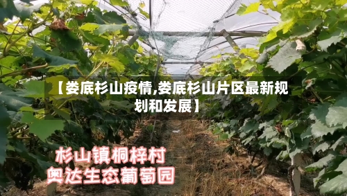 【娄底杉山疫情,娄底杉山片区最新规划和发展】