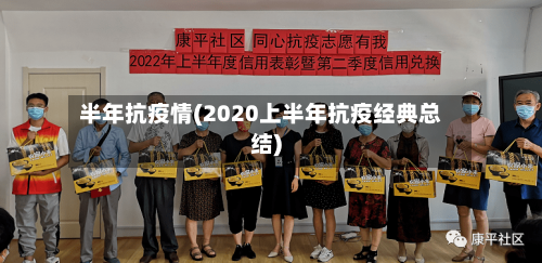 半年抗疫情(2020上半年抗疫经典总结)