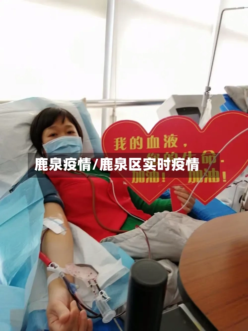 鹿泉疫情/鹿泉区实时疫情