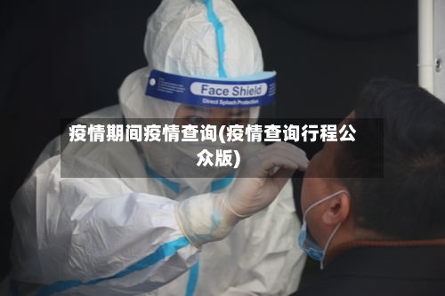 疫情期间疫情查询(疫情查询行程公众版)-第2张图片