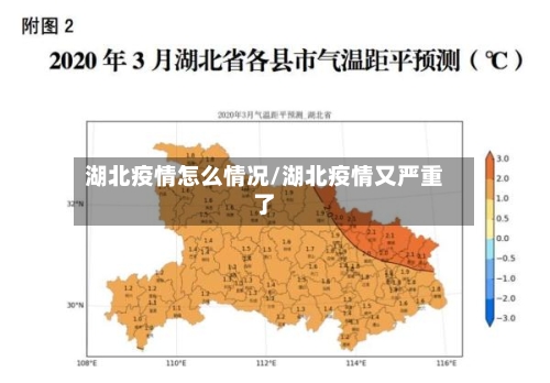 湖北疫情怎么情况/湖北疫情又严重了