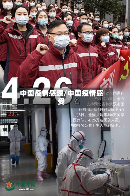 中国疫情感想/中国疫情感受