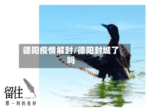 德阳疫情解封/德阳封城了吗-第3张图片
