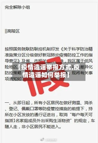 【疫情造谣举报方式,疫情造谣如何举报】-第2张图片