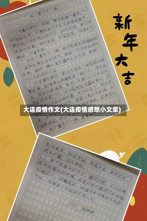 大连疫情作文(大连疫情感想小文章)