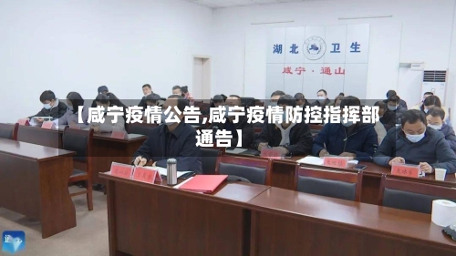 【咸宁疫情公告,咸宁疫情防控指挥部通告】-第2张图片