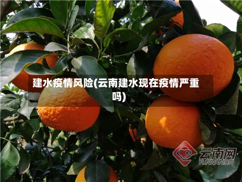 建水疫情风险(云南建水现在疫情严重吗)
